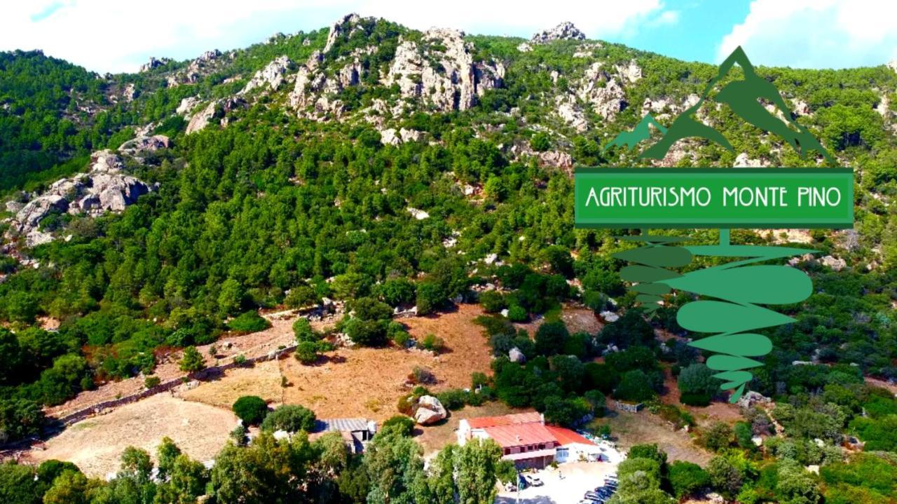 Telti Agriturismo Monte Pino מראה חיצוני תמונה