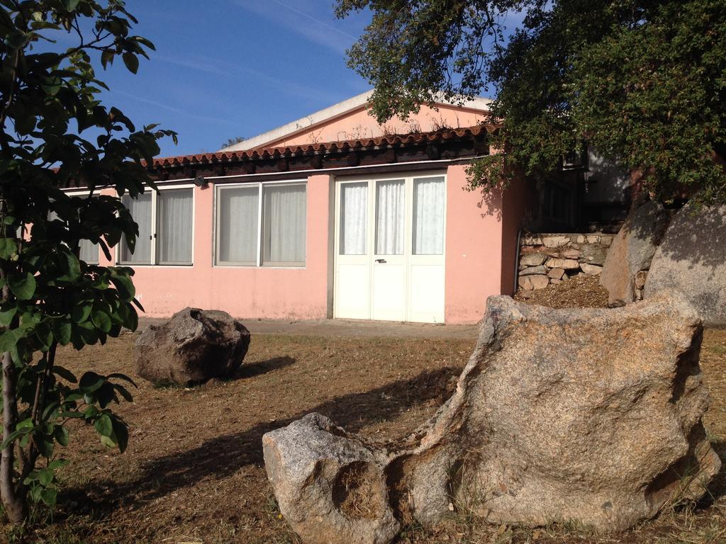Telti Agriturismo Monte Pino מראה חיצוני תמונה