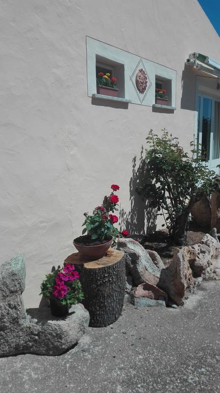 Telti Agriturismo Monte Pino מראה חיצוני תמונה