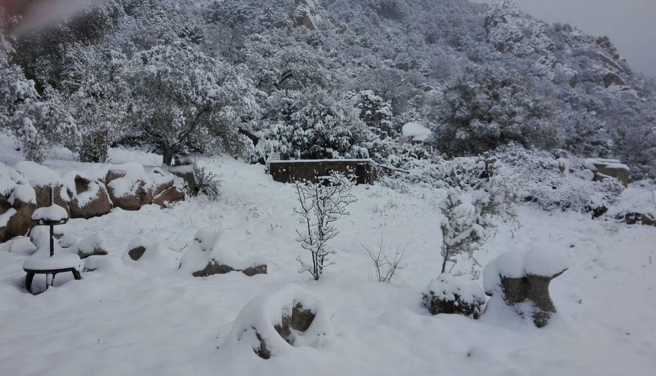 Telti Agriturismo Monte Pino מראה חיצוני תמונה